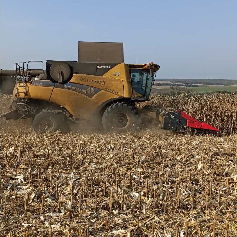 Corn harvesting in progress at Agrovivo